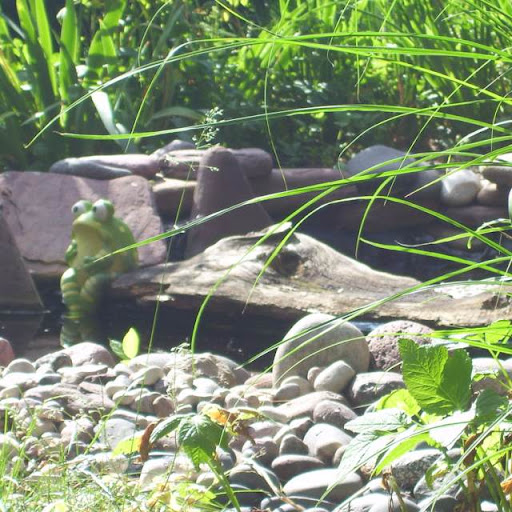 Laura O'Neill Photo 13