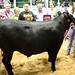 Jack Shrader Photo 21
