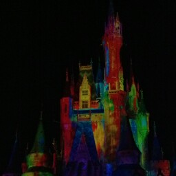 Stacey Frost Photo 16