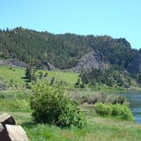 Cindy Harley Photo 9