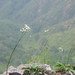 Bin Liang Photo 23