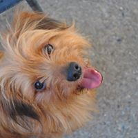 Henry Mccann Photo 6