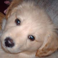 Brian Hendrix Photo 17