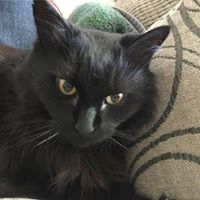 Theresa Mcclintock Photo 9