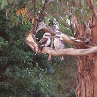 Nichole Barker Photo 15