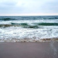 Louisa Allen Photo 8