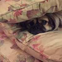 Jessica Morrell Photo 14