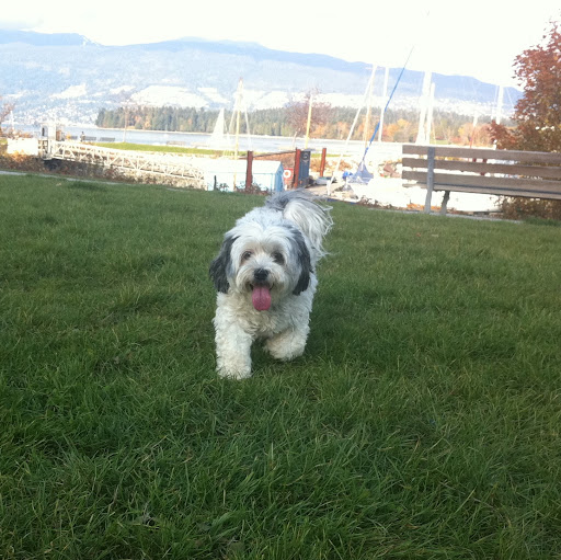 Jill Christensen Photo 10