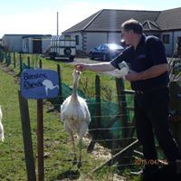 Kathleen Mackenzie Photo 35