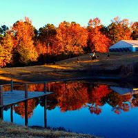 Suzanne Irvin Photo 15