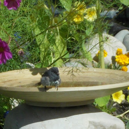 Kathleen Mcmullin Photo 1