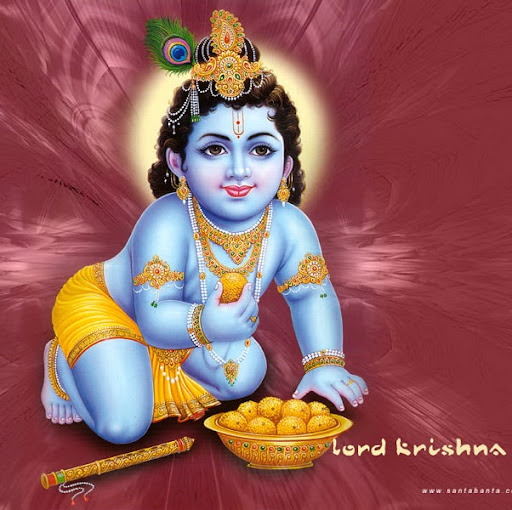 Sujay Patel Photo 15