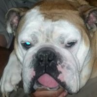 Jill Richter Photo 20