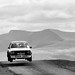 Patrick Walsh Photo 27