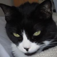 Pam Russell Photo 40