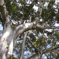 Michelle Newell Photo 35