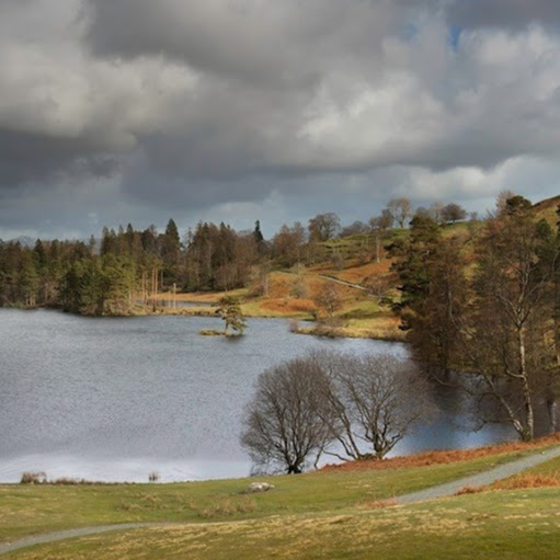 Carole Green Photo 15