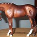 Kathleen Prosser Photo 19
