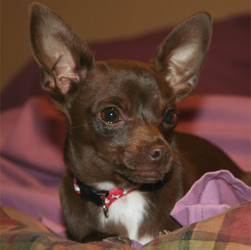 Joanne Gallagher Photo 14