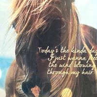 Ginger Townsend Photo 14