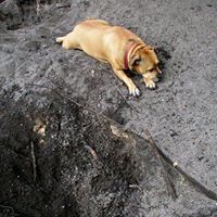 Renee Gerlach Photo 4
