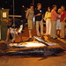 Russell Marlin Photo 6