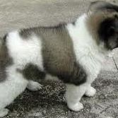 Kenneth Howe Photo 34