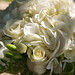 Susan Herrick Photo 42