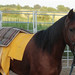 Robert Leclerc Photo 6