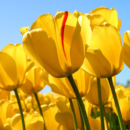 Julia Talbot Photo 21