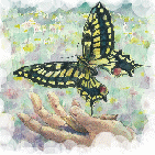 Jane Travis Photo 40