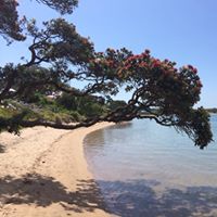 Deborah Travers Photo 14