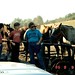 Kim Rice Photo 10