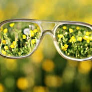 Ana Ferguson Photo 6