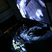 Kathleen Lord Photo 24