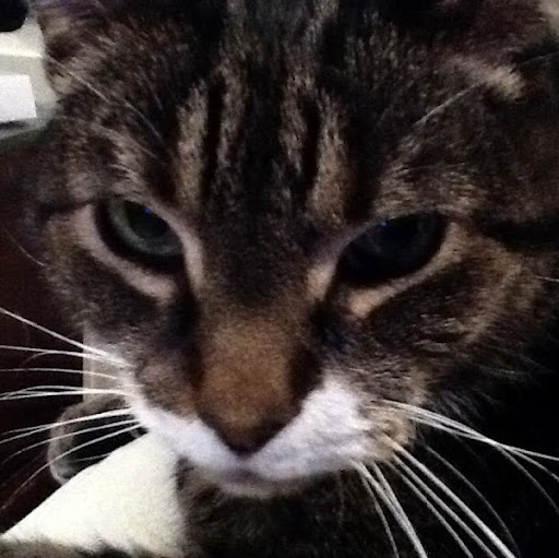 Jaden Turner Photo 11