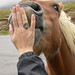 Sandy Sutter Photo 7