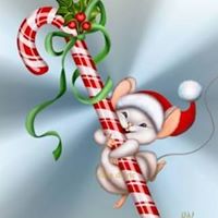 Donna Shepard Photo 28