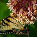 Debbie Mabry Photo 33