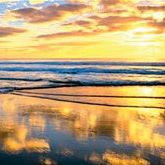 Julie Layton Photo 13