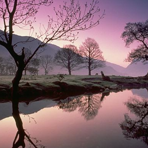 Jan Landers Photo 6