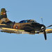 Douglas Wright Photo 48