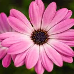 Christina Doherty Photo 14