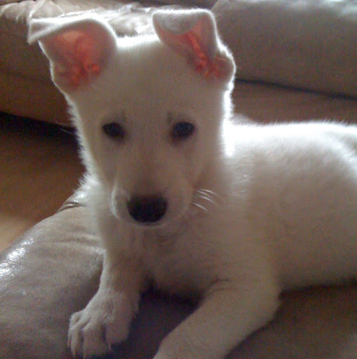 Jackie Barnett Photo 36