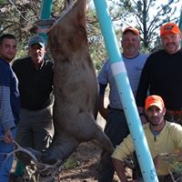 Michael Metcalf Photo 39 Michael Metcalf Photo 39