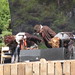 Shawn Griffin Photo 28