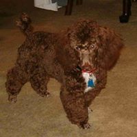 Toby Ball Photo 2
