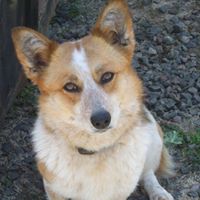 Theresa Amaral Photo 4