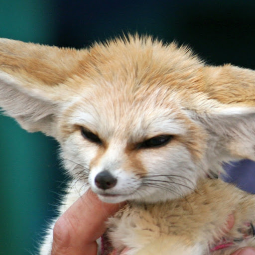 Megan Tierney Photo 14