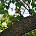 Robin Flicker Photo 4